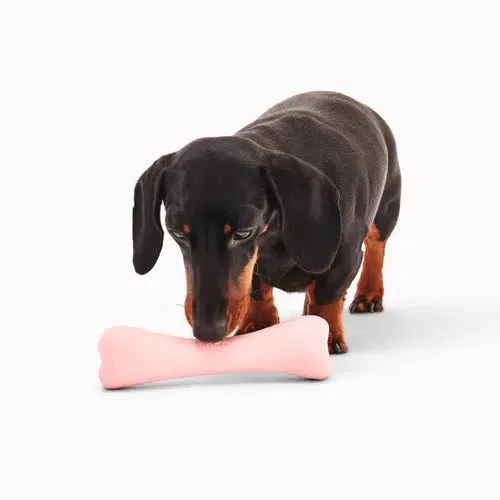 Beco - Natural Rubber Chew Bone - Pink