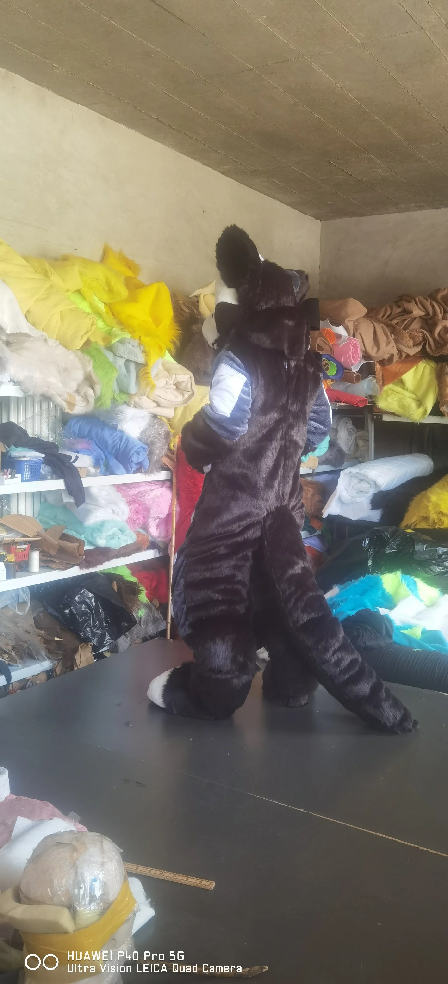 Black Horn Dragon Fox Cat Fursuit Kigurumi Furry Costumes Size M