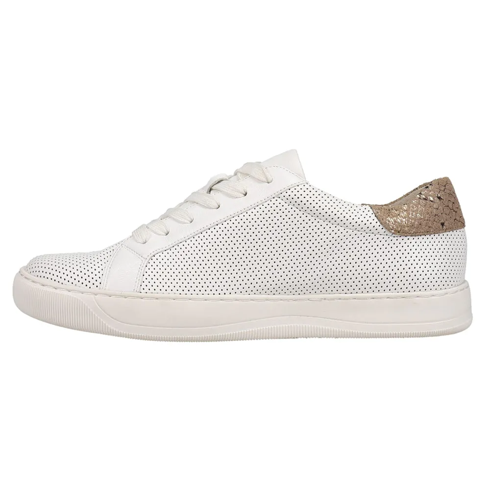 Coyle Perforated Lace Up Sneakers