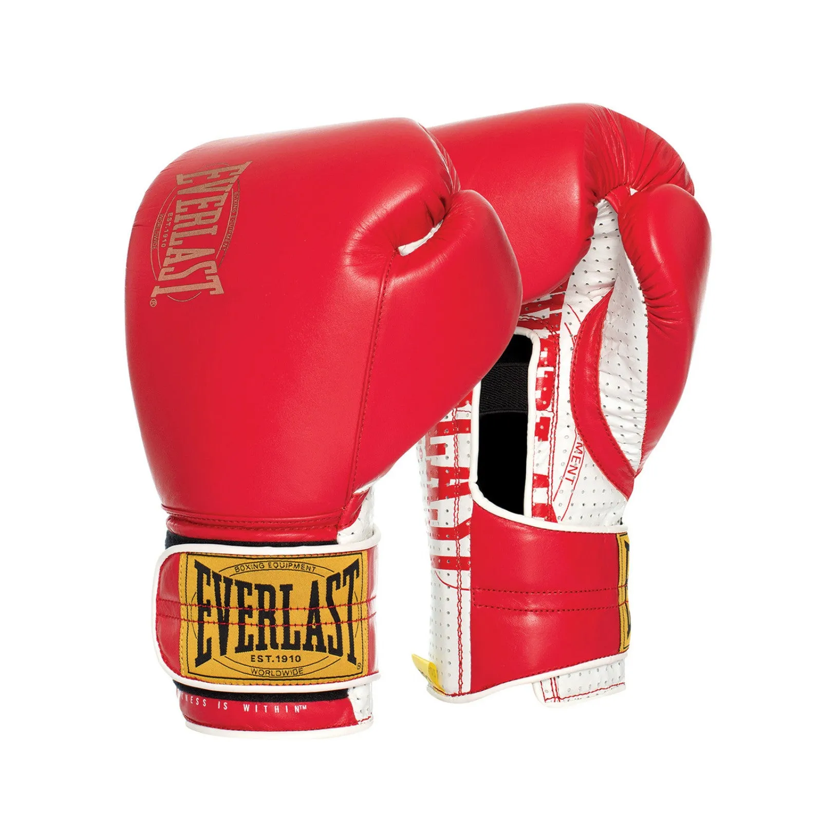 Everlast 1910 Classic Sparring Glove 12oz