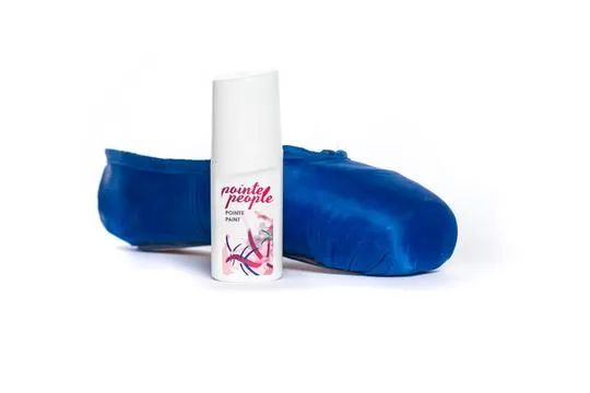 Fabric Pointe Paint