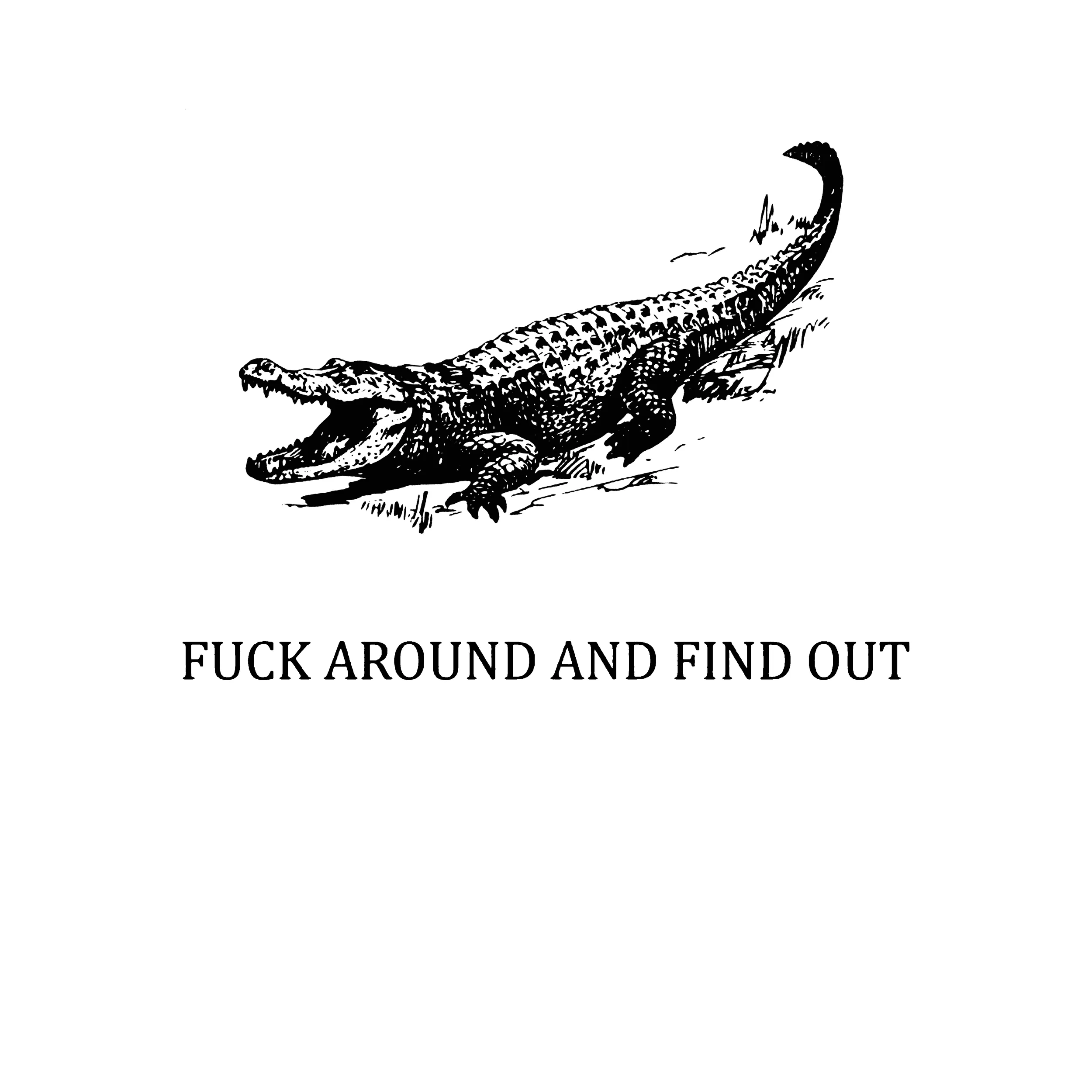 Fuck Around And Find Out Crocodile Flag Classic Tee