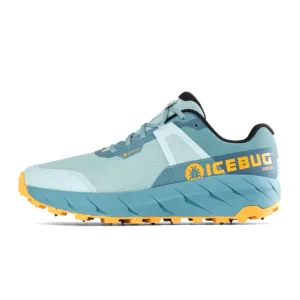 Icebug Arcus BUGrip GTX Hiking Shoe (Women) - CloudBlue with Studs