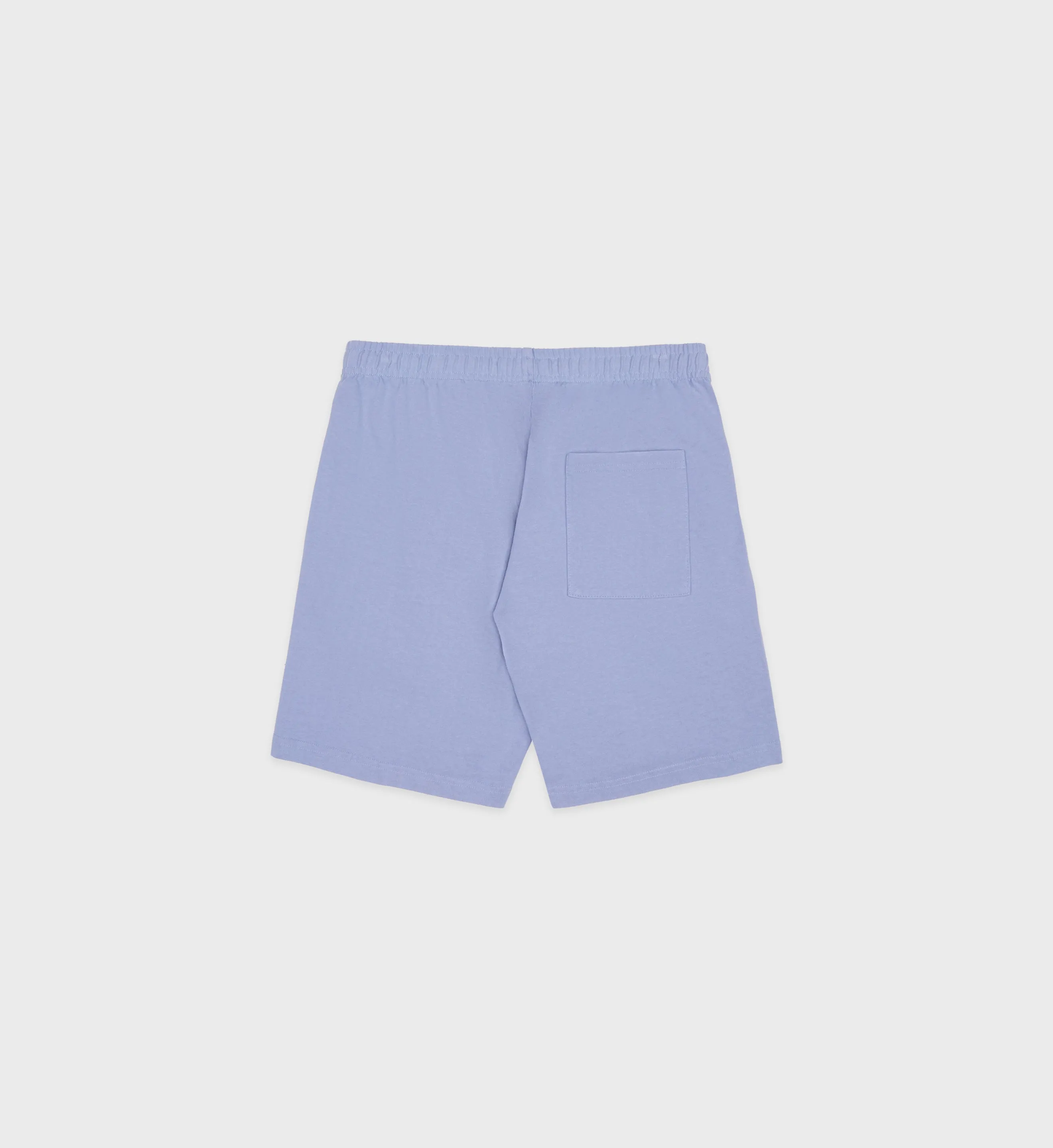 Monte Carlo Gym Short - Periwinkle/White