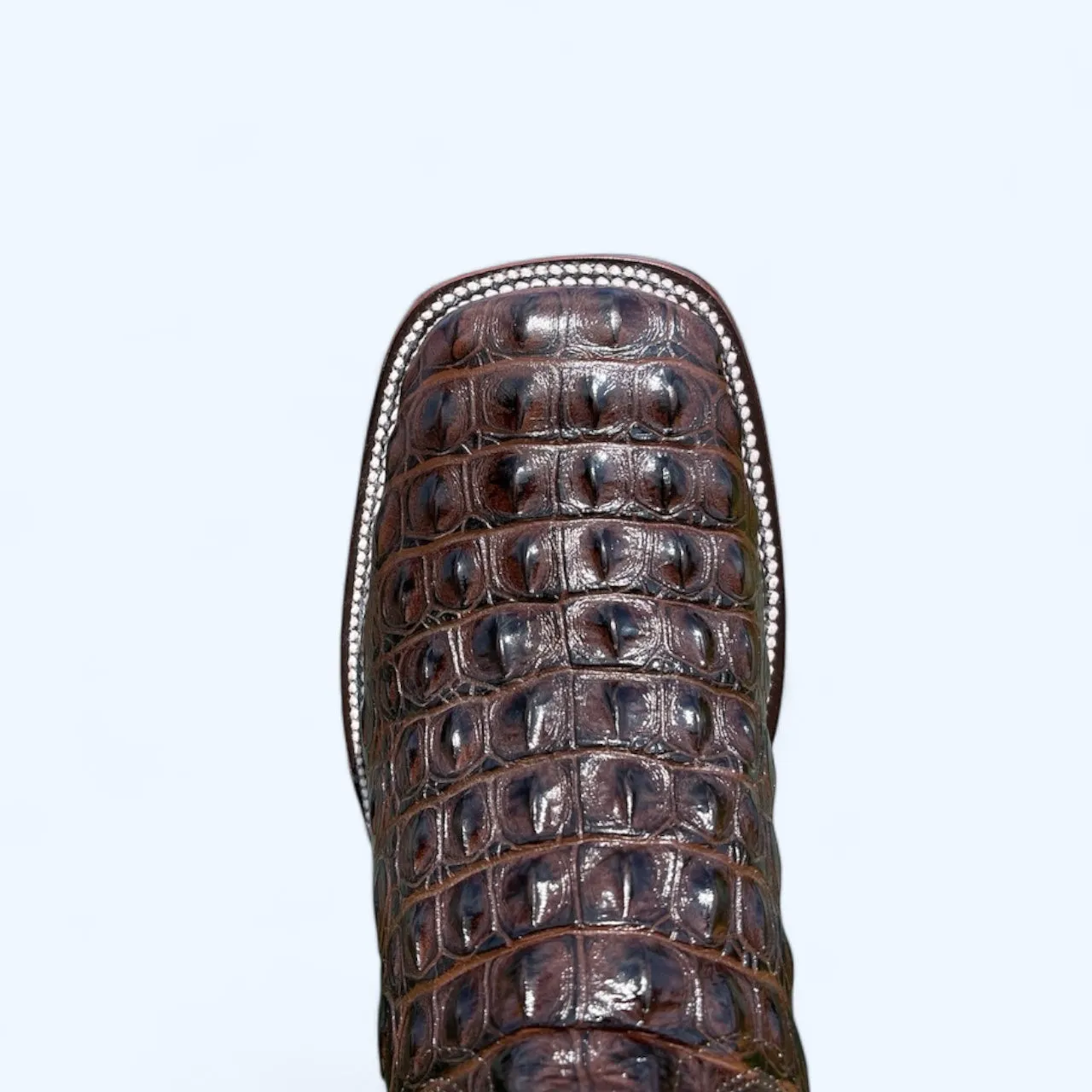 TBC BOOTMAKERS Cafe Croc Leather Print 0006