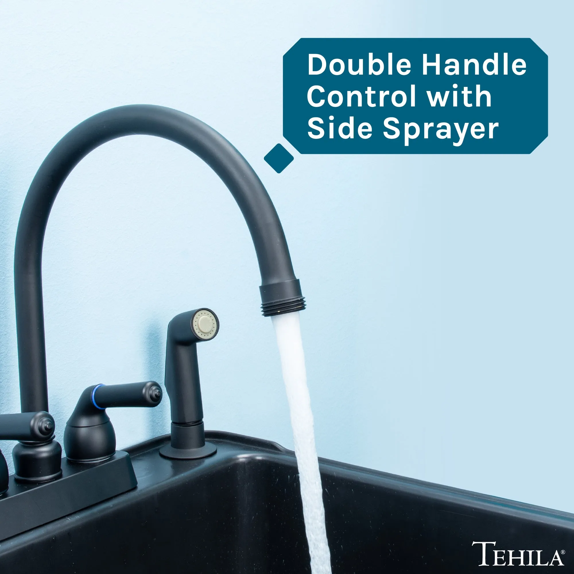 Tehila Black Finish Gooseneck Faucet with Side Sprayer