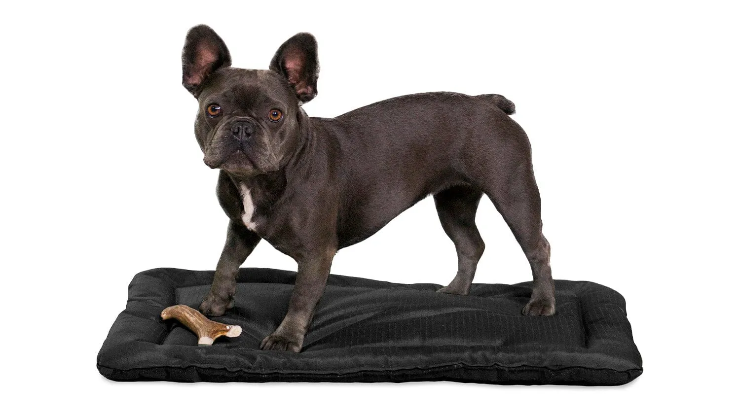 Tough Ripstop™ Dog Crate Pad - Open Box