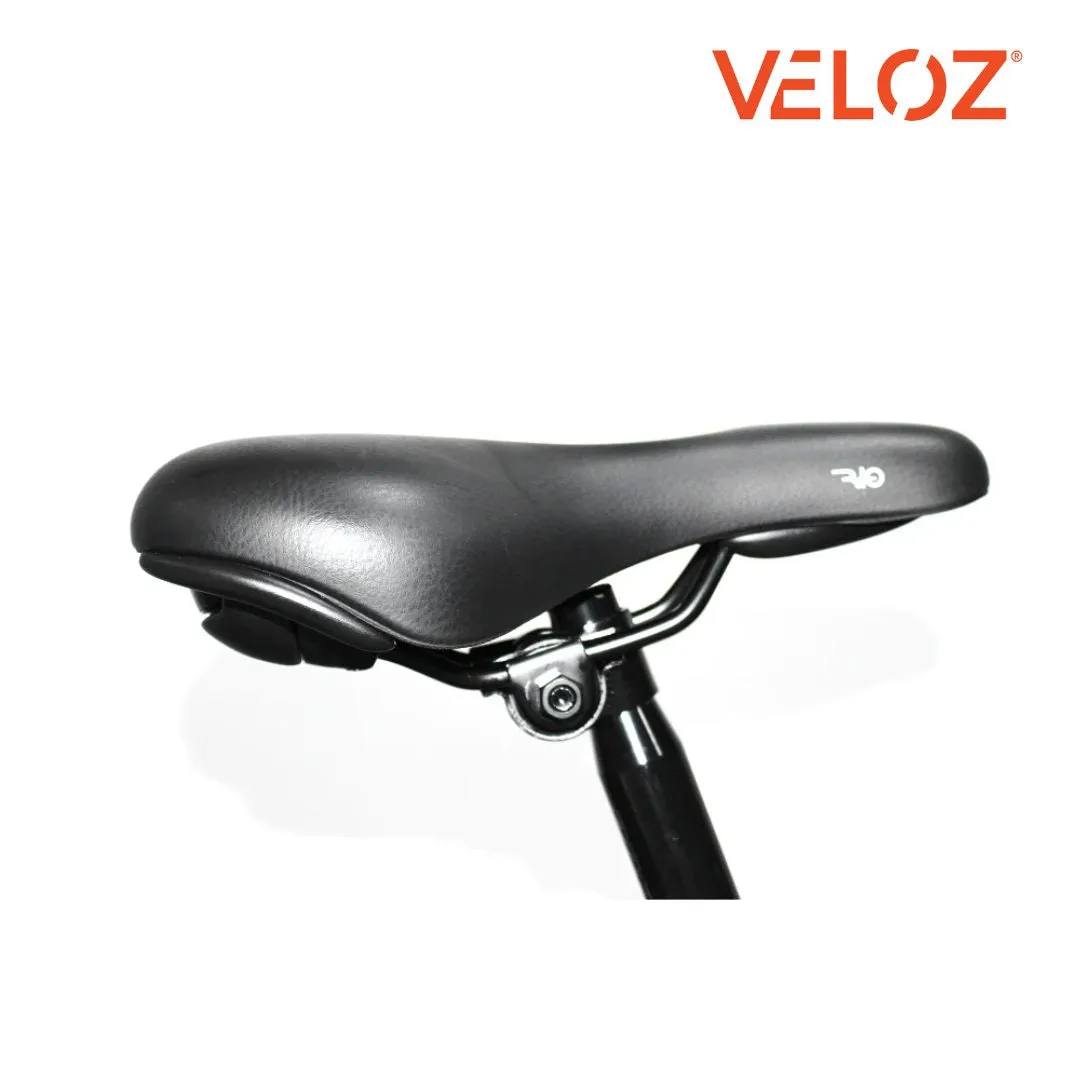 Veloz Electric Cargo Trike 500W Motor 200 Kilos weight load 6 Months Free Service