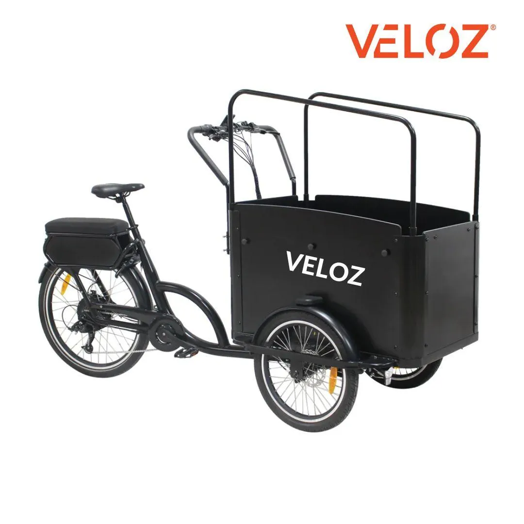 Veloz Electric Cargo Trike 500W Motor 200 Kilos weight load 6 Months Free Service