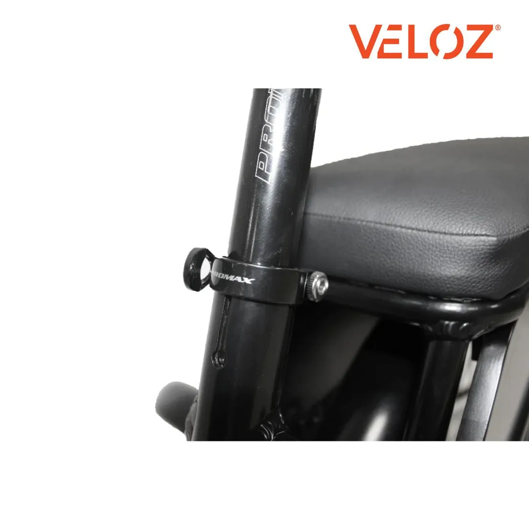 Veloz Electric Cargo Trike 500W Motor 200 Kilos weight load 6 Months Free Service